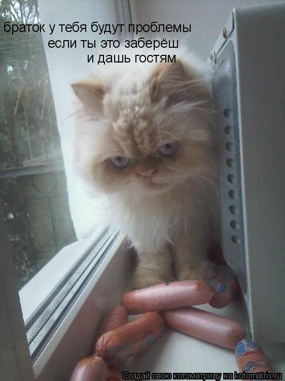 Котоматрица: браток у тебя будут проблемы если ты это заберёш и дашь гостям