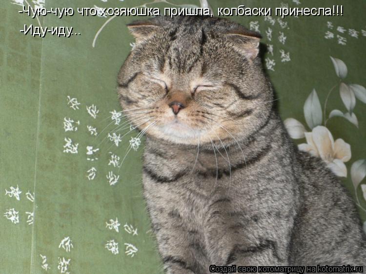 Котоматрица: -Чую-чую что хозяюшка пришла, колбаски принесла!!! -Иду-иду...