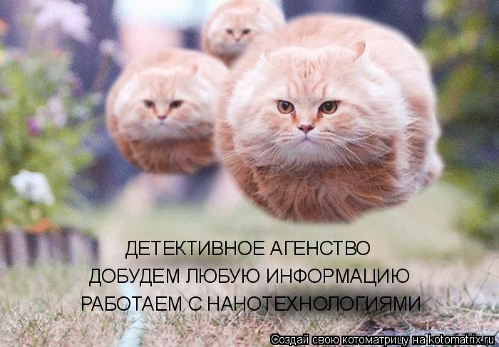 Котоматрица: ДЕТЕКТИВНОЕ АГЕНСТВО ДОБУДЕМ ЛЮБУЮ ИНФОРМАЦИЮ РАБОТАЕМ С НАНОТЕХНОЛОГИЯМИ