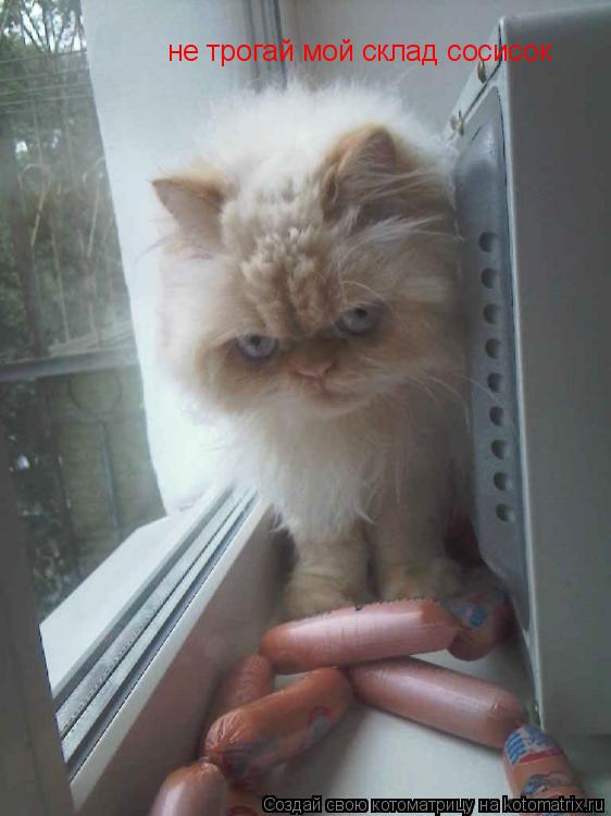 Котоматрица: не трогай мой склад сосисок