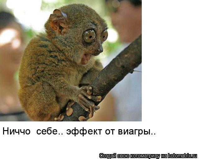 Эффект От Виагры