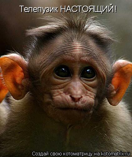 Котоматрица: Телепузик НАСТОЯЩИЙ!