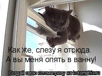 Котоматрица: Как же, слезу я отсюда. А вы меня опять в ванну!