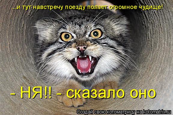 Котоматрица: ...и тут навстречу поезду ползет огромное чудище! - НЯ!! - сказало оно