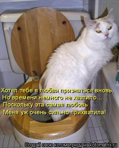 Котоматрица: Хотел тебе в любви признаться вновь, Но времени немного не хватило... Поскольку эта самая любовь Меня уж очень сильно прихватила!