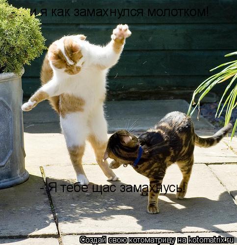 Котоматрица: -... и я как замахнулся молотком! - Я тебе щас замахнусь!