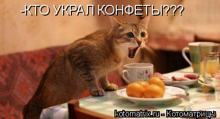 Котоматрица: -КТО УКРАЛ КОНФЕТЫ???