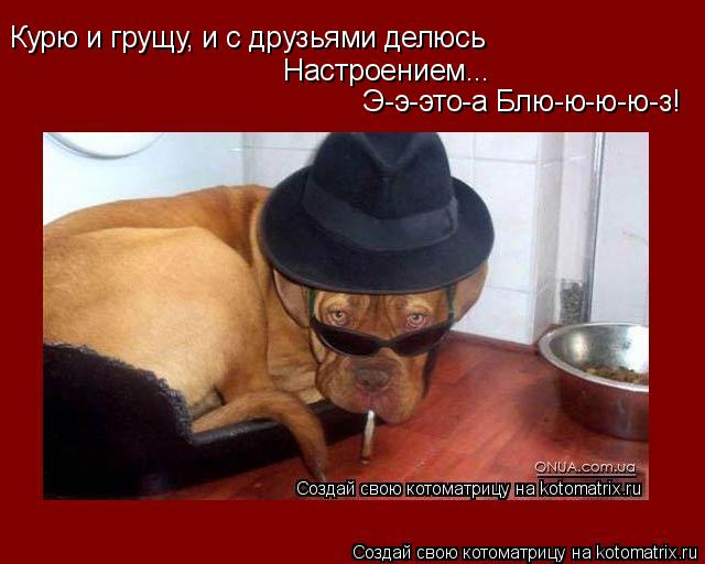 Котоматрица: Курю и грущу, и с друзьями делюсь Настроением... Э-э-это-а Блю-ю-ю-ю-з!