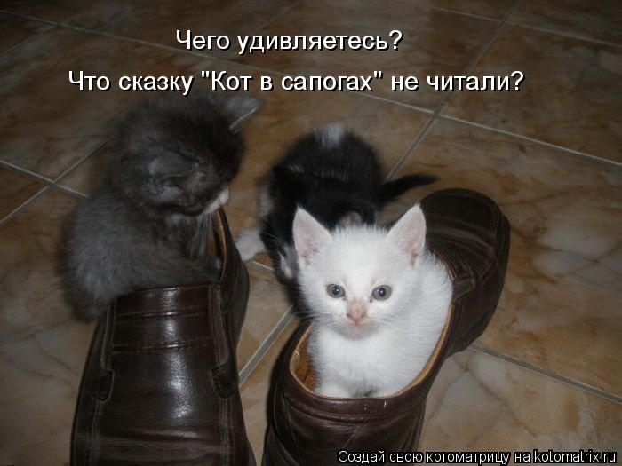 Котоматрица: Чего удивляетесь? Что сказку "Кот в сапогах" не читали?