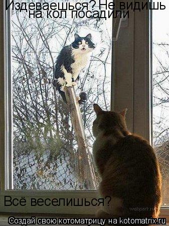 Котоматрица: Всё веселишься? Издеваешься? Издеваешься? Не видишь  на кол посадили
