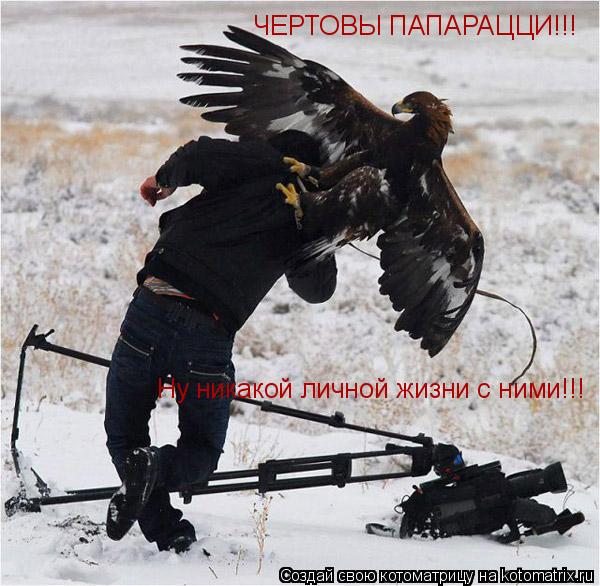 Котоматрица: ЧЕРТОВЫ ПАПАРАЦЦИ!!! Ну никакой личной жизни с ними!!!