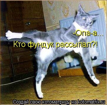 Котоматрица: -Опа-а... Кто фундук рассыпал?!