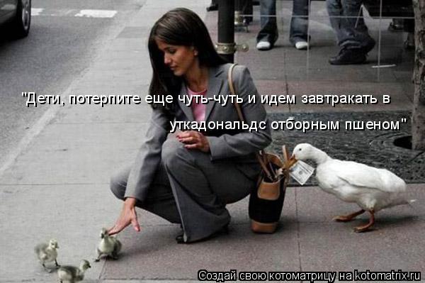 Котоматрица: "Дети, потерпите еще чуть-чуть и идем завтракать в уткадональдс отборным пшеном"
