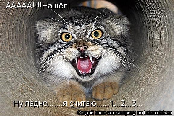 Котоматрица: ААААА!!!!Нашёл! Ну ладно.......я считаю......1...2...3...