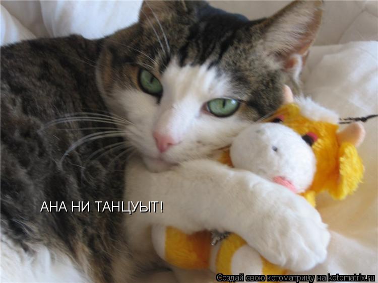 Котоматрица: АНА НИ ТАНЦУЫТ!