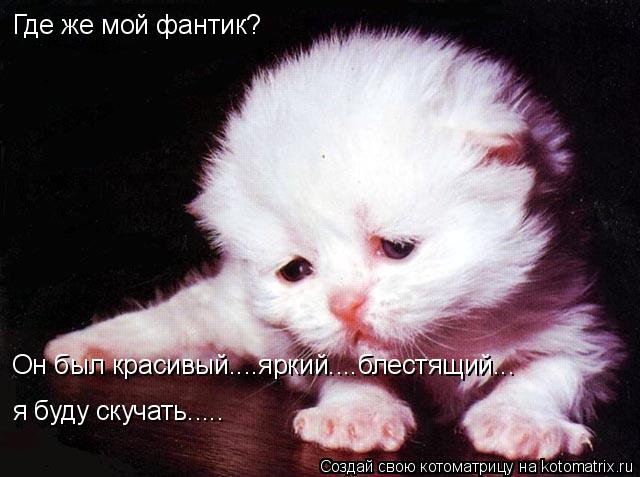 Котоматрица: Где же мой фантик? Он был красивый....яркий....блестящий... я буду скучать.....