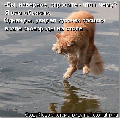 Котоматрица: -Вы, наверное, спросите - что к чему? Я вам объясню. Однажды, увидел кусочек сосиски возле сковороды на столе...