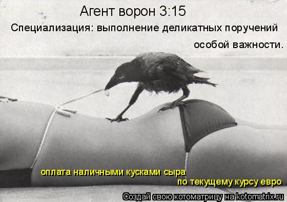 Котоматрица: Агент ворон 3:15 Специализация: выполнение деликатных поручений особой важности. оплата наличными кусками сыра  по текущему курсу евро