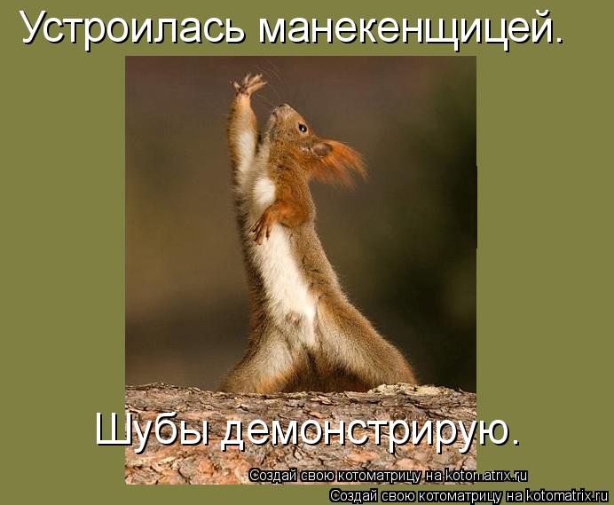 Котоматрица: Устроилась манекенщицей. Шубы демонстрирую.