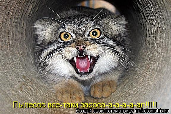 Котоматрица: Пылесос все-таки засоса-а-а-а-а-ал!!!!!