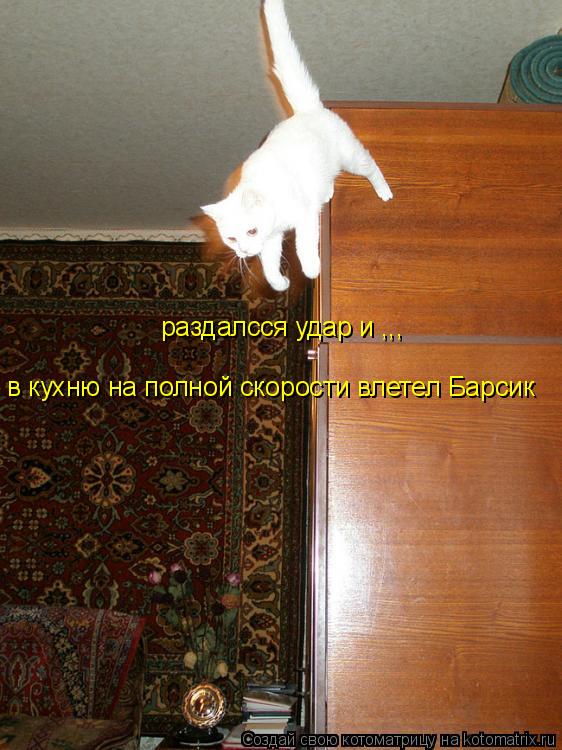Котоматрица: раздалсся удар и ,,, в кухню на полной скорости влетел Барсик