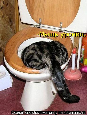 Котоматрица: -Мышь уронил. -Мышь уронил.