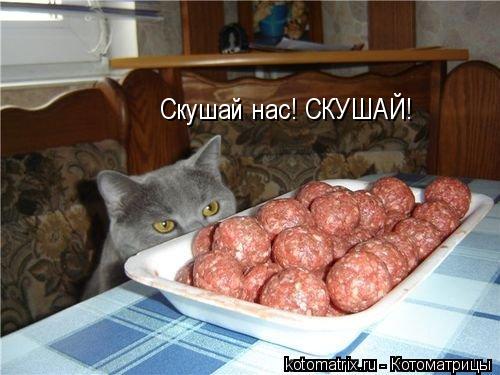 Котоматрица: Скушай нас! СКУШАЙ!