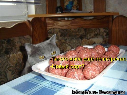 Котоматрица: -Такого мяса ещё не встречал. -Новый сорт?