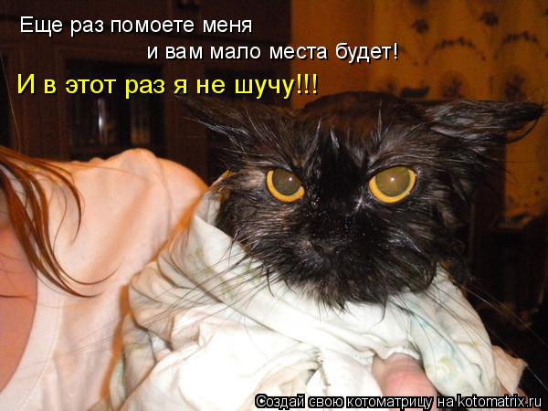 Котоматрица: Еще раз помоете меня и вам мало места будет! И в этот раз я не шучу!!!