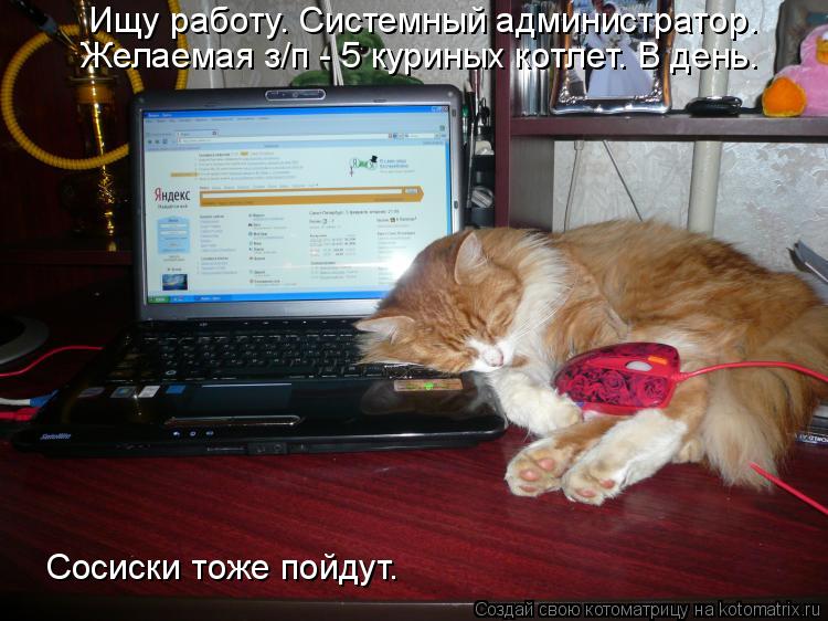 Котоматрица: Ищу работу. Системный администратор. Желаемая з/п - 5 куриных котлет. В день. Сосиски тоже пойдут.