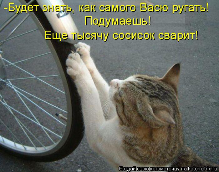 Котоматрица: -Будет знать, как самого Васю ругать! Подумаешь! Еще тысячу сосисок сварит!