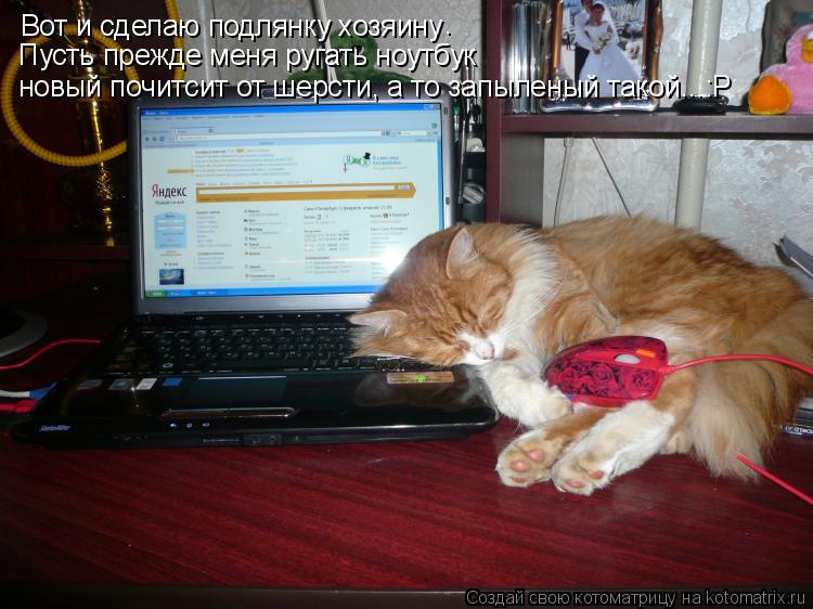 Котоматрица: Вот и сделаю подлянку хозяину . Пусть прежде меня ругать ноутбук новый почитсит от шерсти, а то запыленый такой...:Р