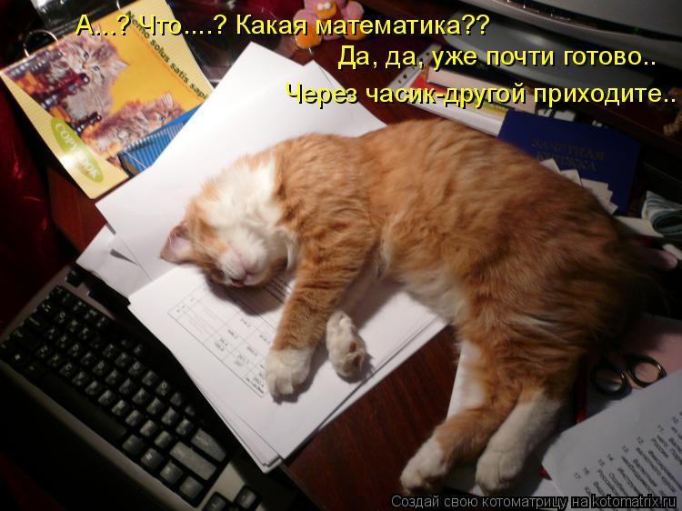 А...? Что....? Какая математика?? Да, да, уже почти готово.. Через часик-другой приходите..... Котоматрица: А...? Что....? Какая математика?? Да, да, уже почти готово.. Через часик-другой приходите..