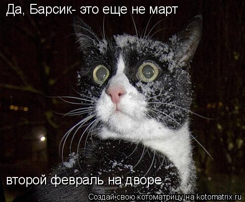 Котоматрица: Да, Барсик- это еще не март второй февраль на дворе...