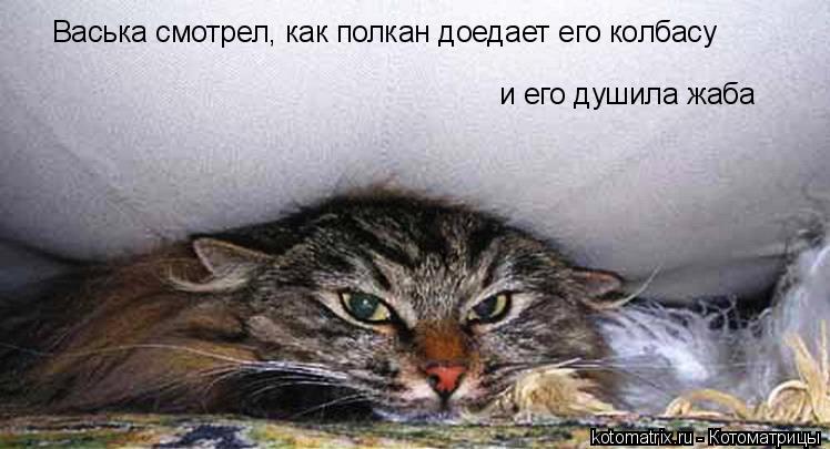 Васька смотрел, как полкан доедает его колбасу и его душила жаба... Котоматрица: Васька смотрел, как полкан доедает его колбасу и его душила жаба