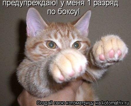 предупреждаю! у меня 1 разряд по боксу!... Котоматрица: предупреждаю! у меня 1 разряд по боксу!