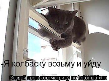-Я колбаску возьму и уйду.... Котоматрица: -Я колбаску возьму и уйду.