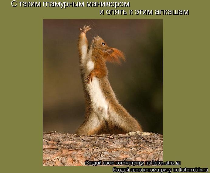 С таким гламурным маникюром и опять к этим алкашам... Котоматрица: С таким гламурным маникюром и опять к этим алкашам