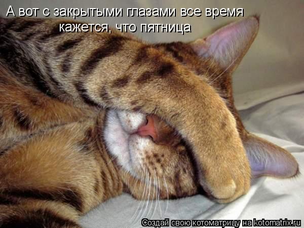 кажется, что пятница А вот с закрытыми глазами все время... Котоматрица: кажется, что пятница А вот с закрытыми глазами все время