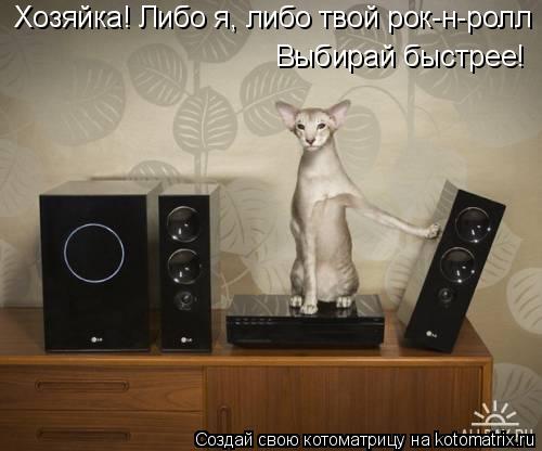 Хозяйка! Либо я, либо твой рок-н-ролл Выбирай быстрее!... Котоматрица: Хозяйка! Либо я, либо твой рок-н-ролл Выбирай быстрее!