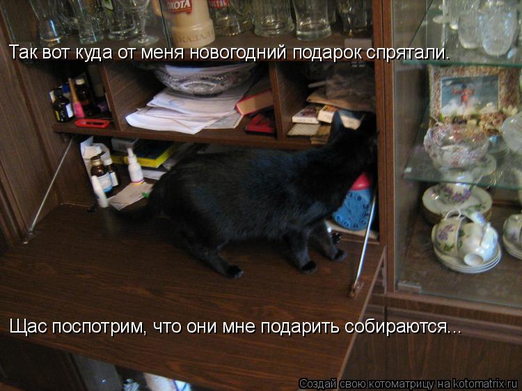 Так вот куда от меня новогодний подарок спрятали. Щас поспотрим, что они мне подарить собираются...... Котоматрица: Так вот куда от меня новогодний подарок спрятали. Щас поспотрим, что они мне подарить собираются...