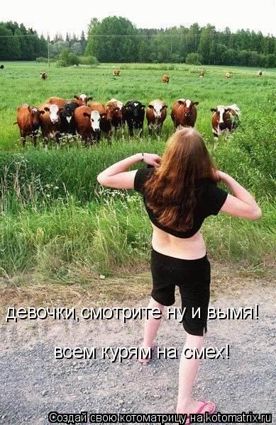 девочки,смотрите ну и вымя! всем курям на смех!... Котоматрица: девочки,смотрите ну и вымя! всем курям на смех!