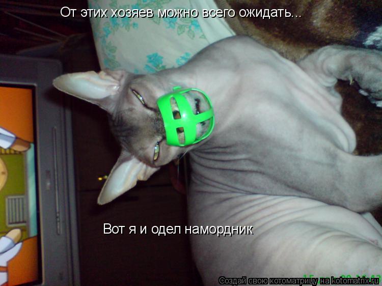 От этих хозяев можно всего ожидать... Вот я и одел намордник... Котоматрица: От этих хозяев можно всего ожидать... Вот я и одел намордник
