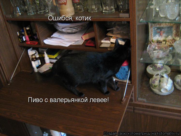 Ошибся, котик Пиво с валерьянкой левее!... Котоматрица: Ошибся, котик Пиво с валерьянкой левее!