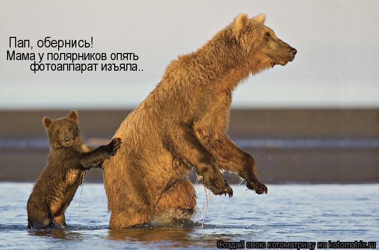 Пап, обернись! Мама у полярников опять фотоаппарат изъяла..... Котоматрица: Пап, обернись! Мама у полярников опять фотоаппарат изъяла..