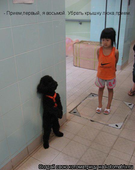 - Прием,первый, я восьмой. Убрать крышку люка,прием.... Котоматрица: - Прием,первый, я восьмой. Убрать крышку люка,прием.