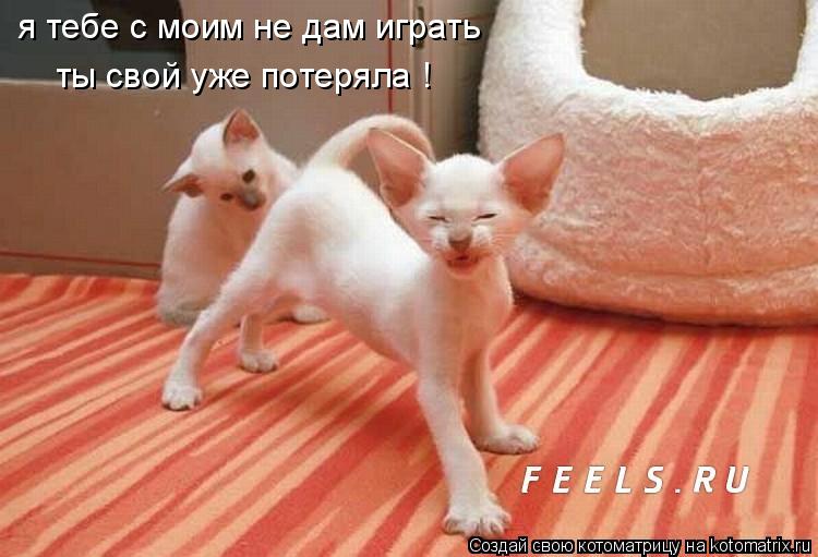 я тебе с моим не дам играть ты свой уже потеряла !... Котоматрица: я тебе с моим не дам играть ты свой уже потеряла !