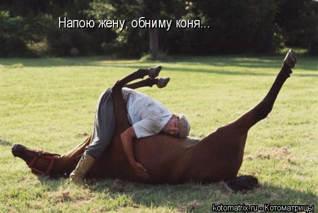 Напою жену, обниму коня...... Котоматрица: Напою жену, обниму коня...