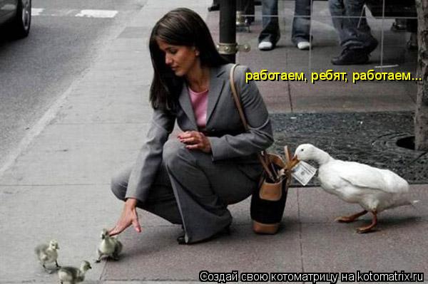 работаем, ребят, работаем...... Котоматрица: работаем, ребят, работаем...