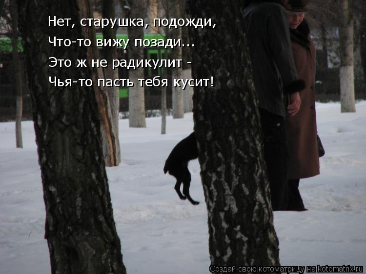 Нет, старушка, подожди, Что-то вижу позади... Это ж не радикулит - Чья-то пасть тебя кусит!... Котоматрица: Нет, старушка, подожди, Что-то вижу позади... Это ж не радикулит - Чья-то пасть тебя кусит!